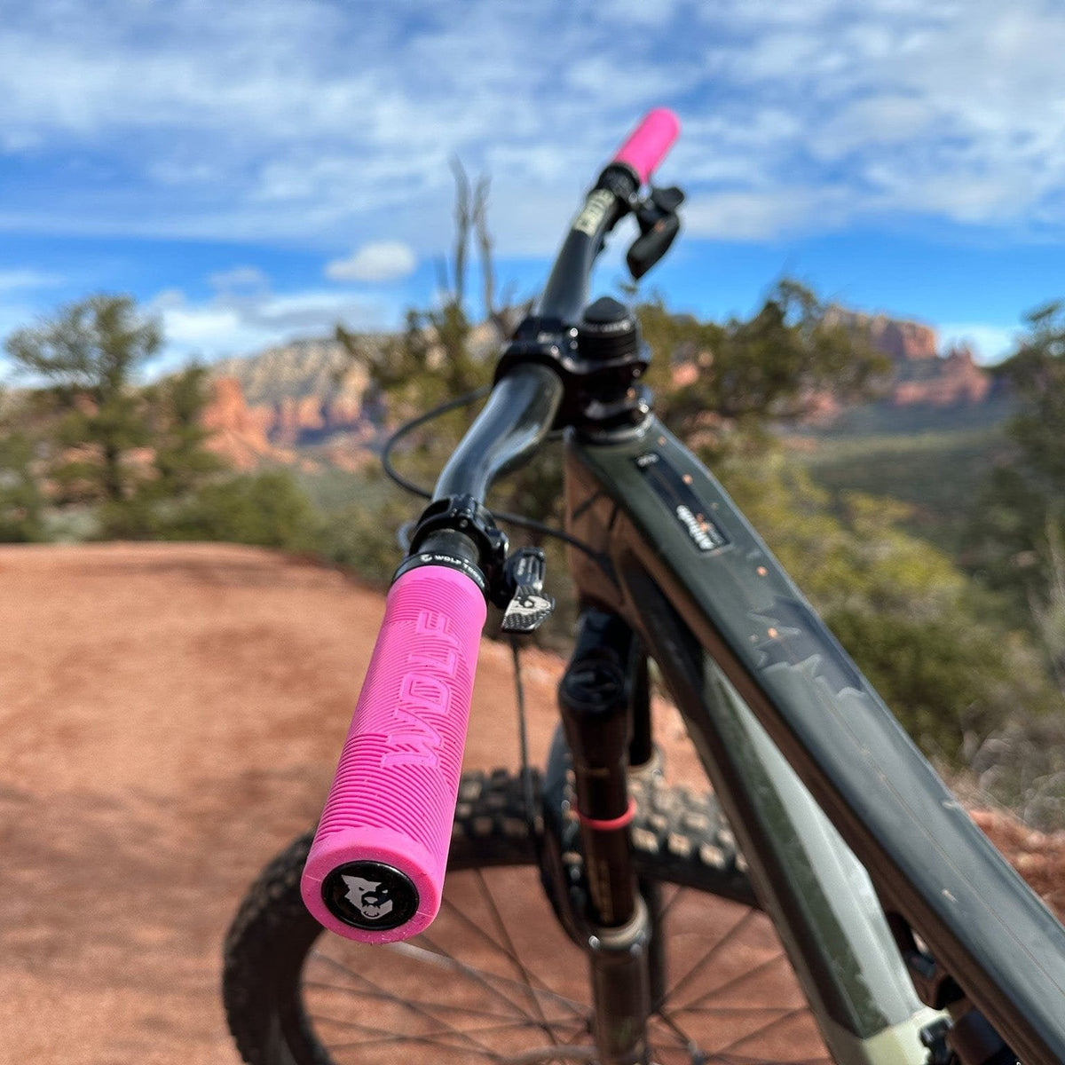 Wolf Tooth Echo Lock - On Grips – Colors Blue