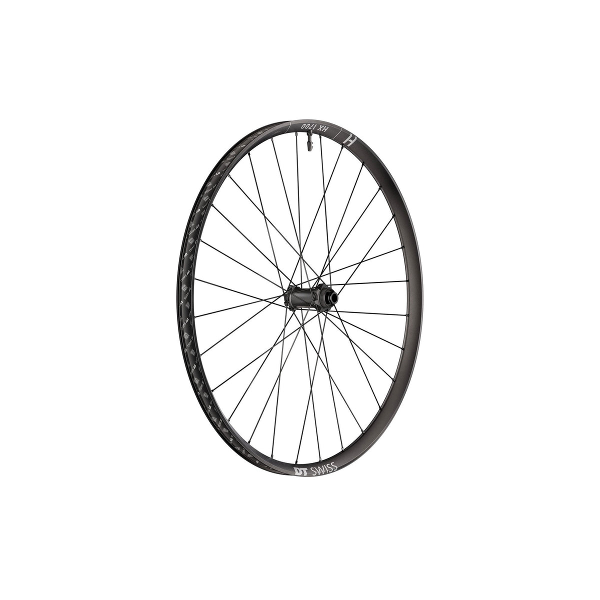 DT Swiss HX 1700 Spline 29" 6-Bolt Disc Brake Front Wheel