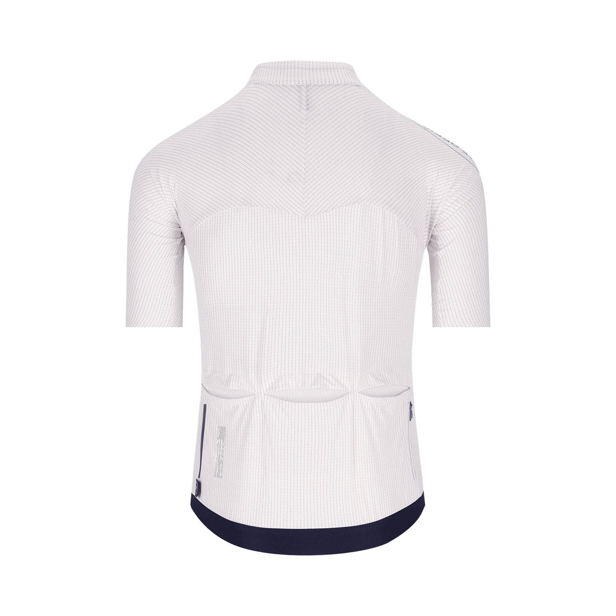 Q36.5 Dottore Pro Research Scientist Jersey