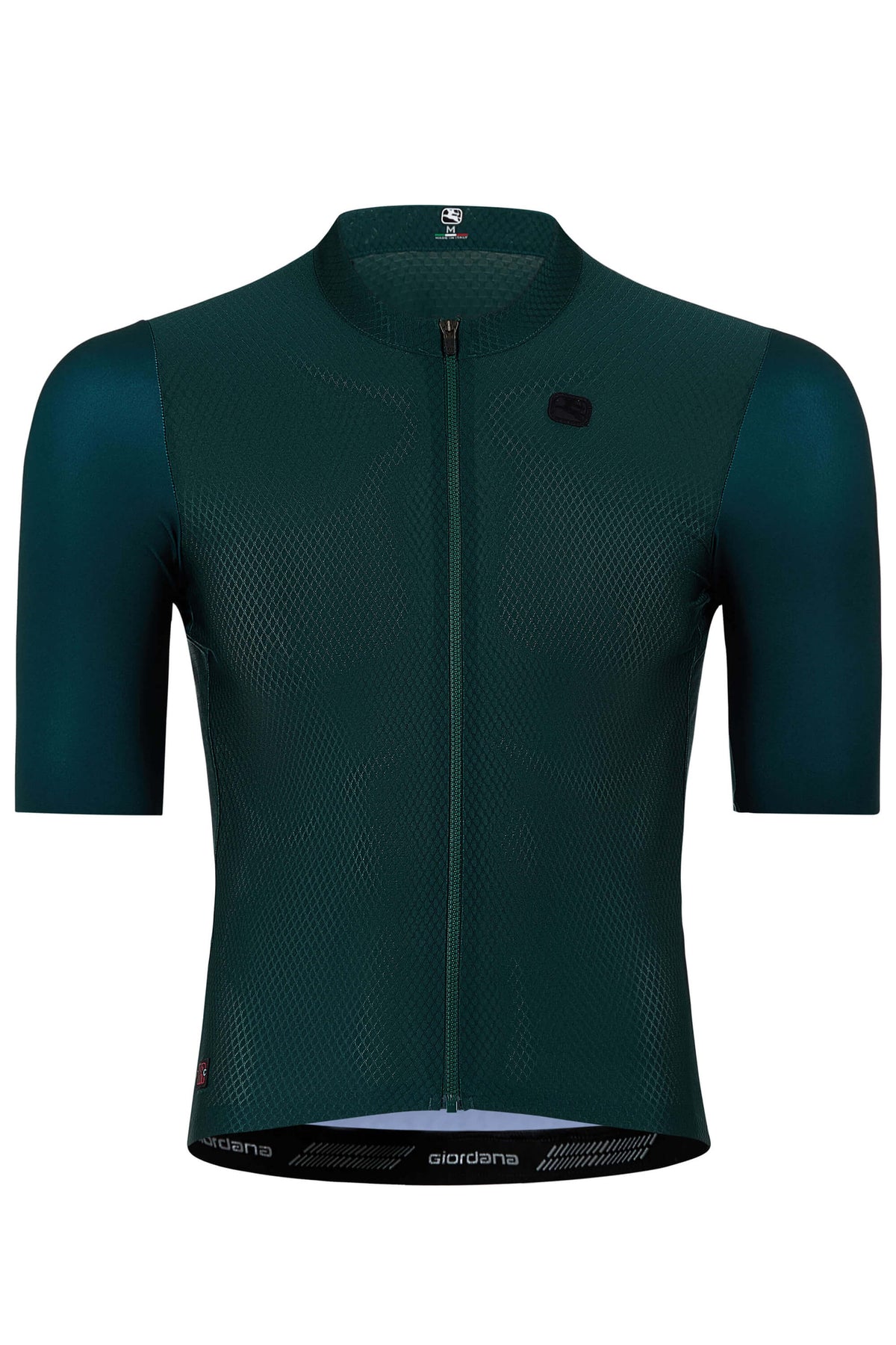 Giordana Men's FR-C Pro Jersey